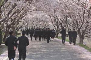 桜の土手で