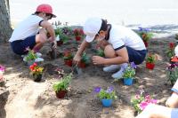 ボランティア広場花植え