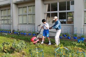 草取りボランティアの様子