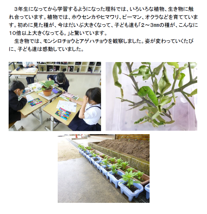 植物、生き物にふれあって