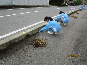 アダプト