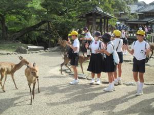 西江原小学校の画像