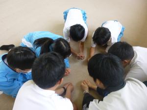 SAF②