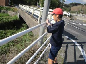 ぴかぴか大作戦‗2913