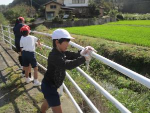 ぴかぴか大作戦‗2914