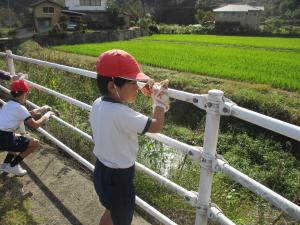 ぴかぴか再作戦‗2916