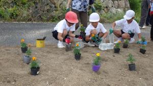 R7花の植え替え