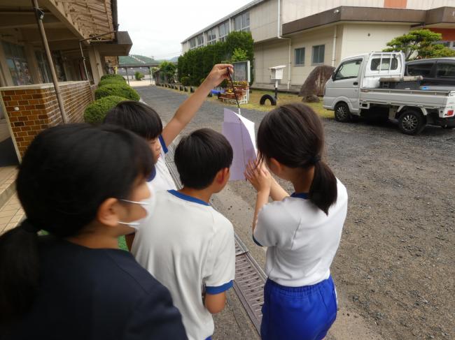 理科