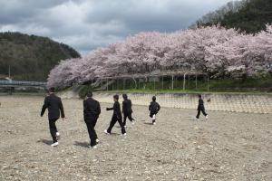 桜並木での様子