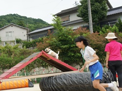 職場体験の様子